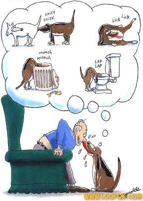 hahaha